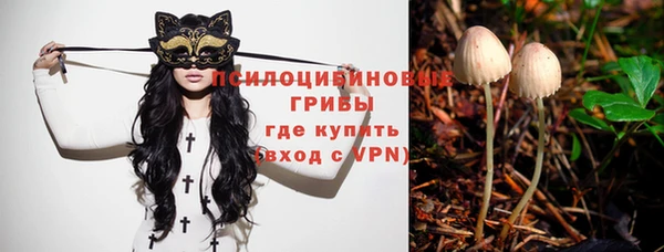 спиды Дмитров