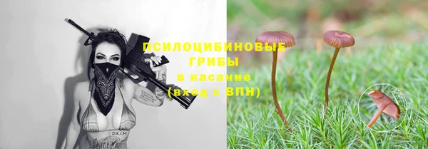 mix Дмитриев