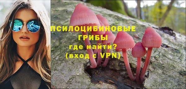 спиды Дмитров