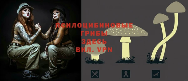 a pvp Дмитровск
