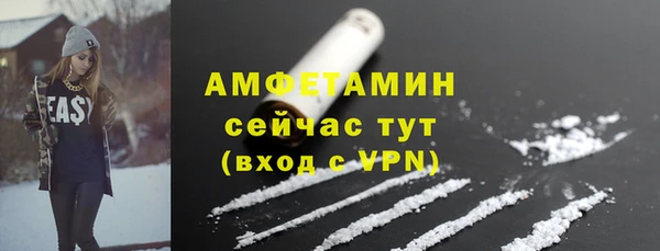 соль ск Ельня