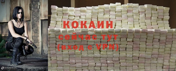 mix Дмитриев